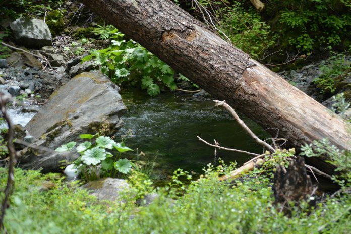 log-streaming