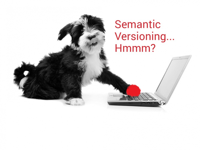 What is Semantic Versioning? What is Semantic Versioning?