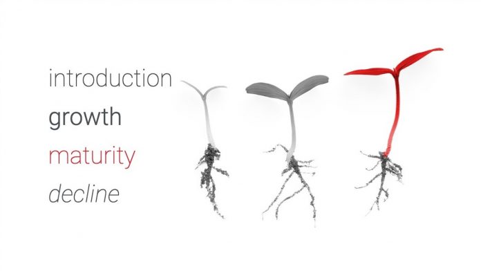 Product lifecycle